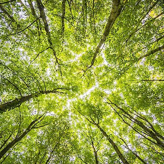 Erholung an der Regattastrecke